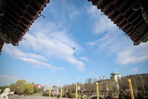 鞍山的背景,东北工业重镇的历史与未来交汇点