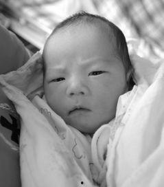 小孩出生资料,记录宝宝的第一份珍贵档案