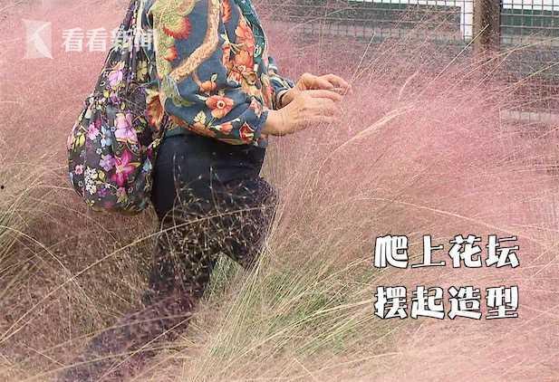 网红被爆草视频,草视频事件引发社会关注