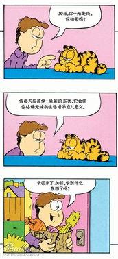 美国搞笑漫画,笑料百出，欢乐无限