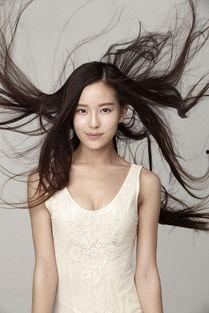 温心八卦,温心八卦背后的故事与真相