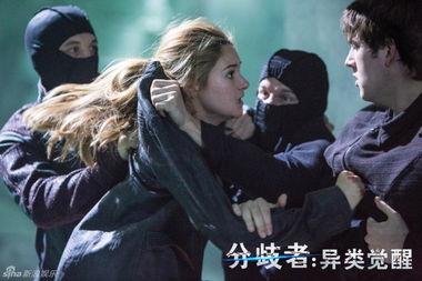 分歧者图片,探索人性与选择的多元世界