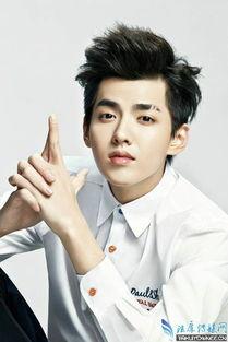 吴亦凡家庭背景资料,出身名门，星途璀璨的娱乐圈新星