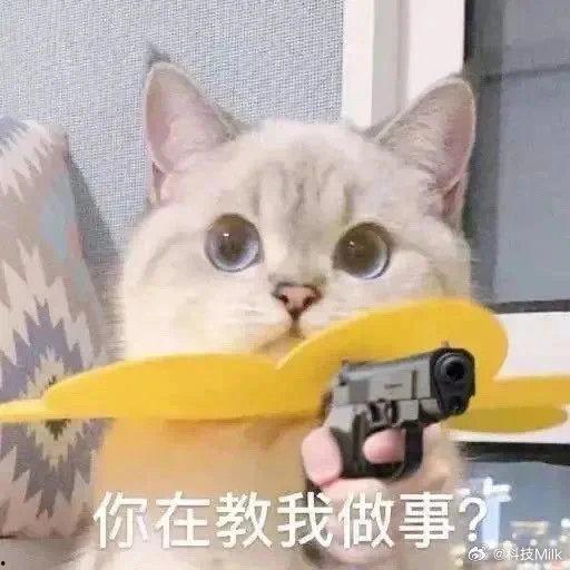 舌头舔屏表情包,揭秘舔屏表情包的魅力