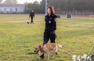 警花与警犬樱桃图片