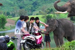 海敏照片,捕捉时光之美