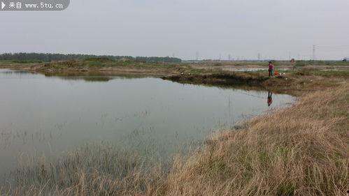 鱼塘照片,自然生态与和谐共生的画卷