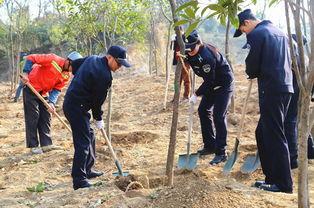 种树照片,种树照片背后的生态故事